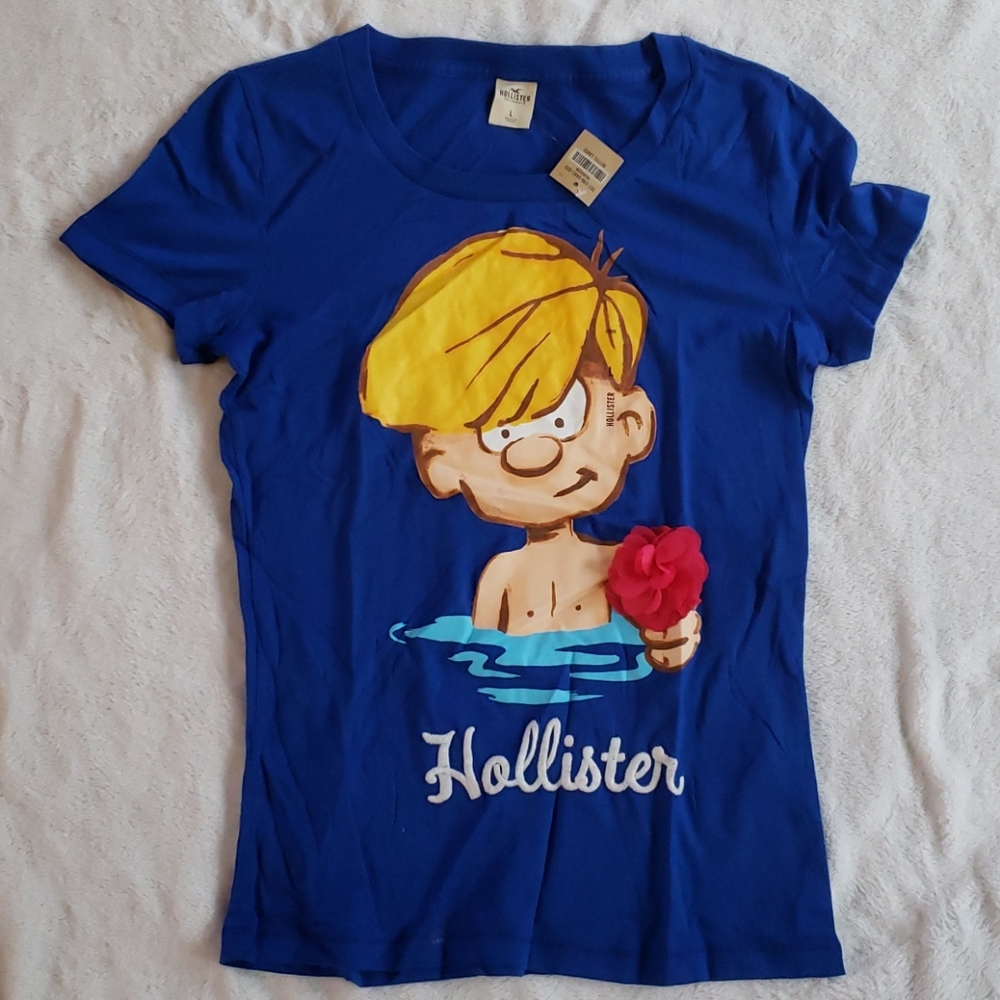 NEVER WORN Hollister tee